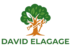 elagage-david-elagage
